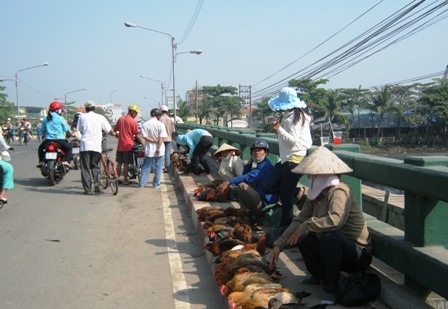 Bất tuân lệnh cấm, "chợ" gia cầm sống vẫn nhộn nhịp - 1