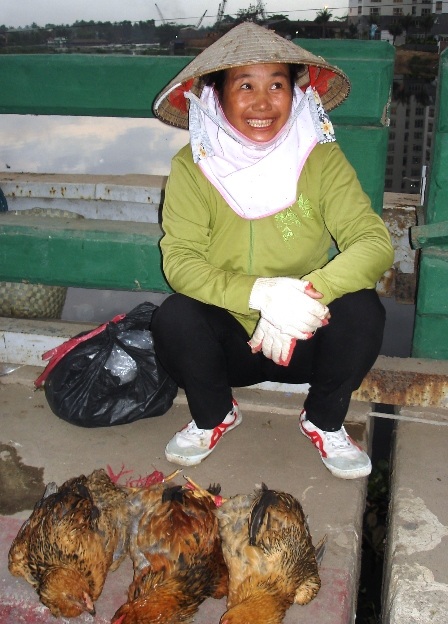 Bất tuân lệnh cấm, "chợ" gia cầm sống vẫn nhộn nhịp - 3