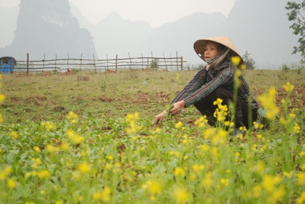 Buồn vui Tết nghèo - 10