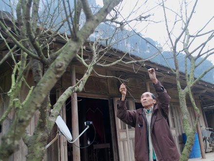 Buồn vui Tết nghèo - 8