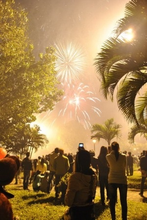 Mãn nhãn với pháo hoa đêm giao thừa - 29