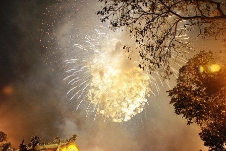 Mãn nhãn với pháo hoa đêm giao thừa - 27