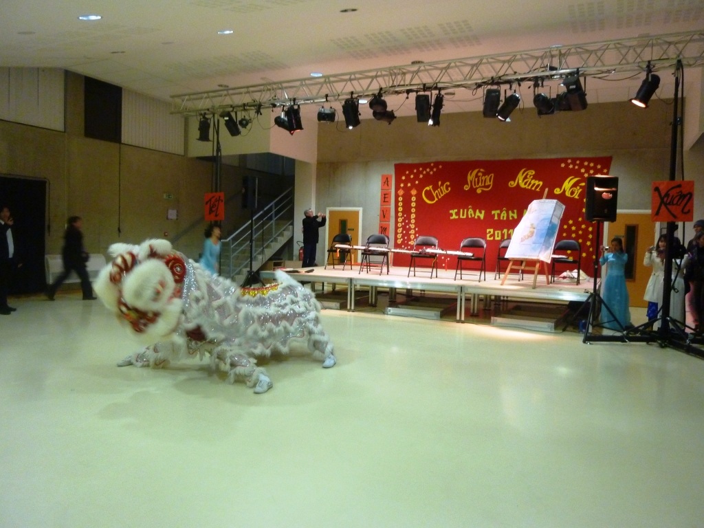 Không khí đón Tết của sinh viên Việt Nam tại Montpellier, Pháp - 6