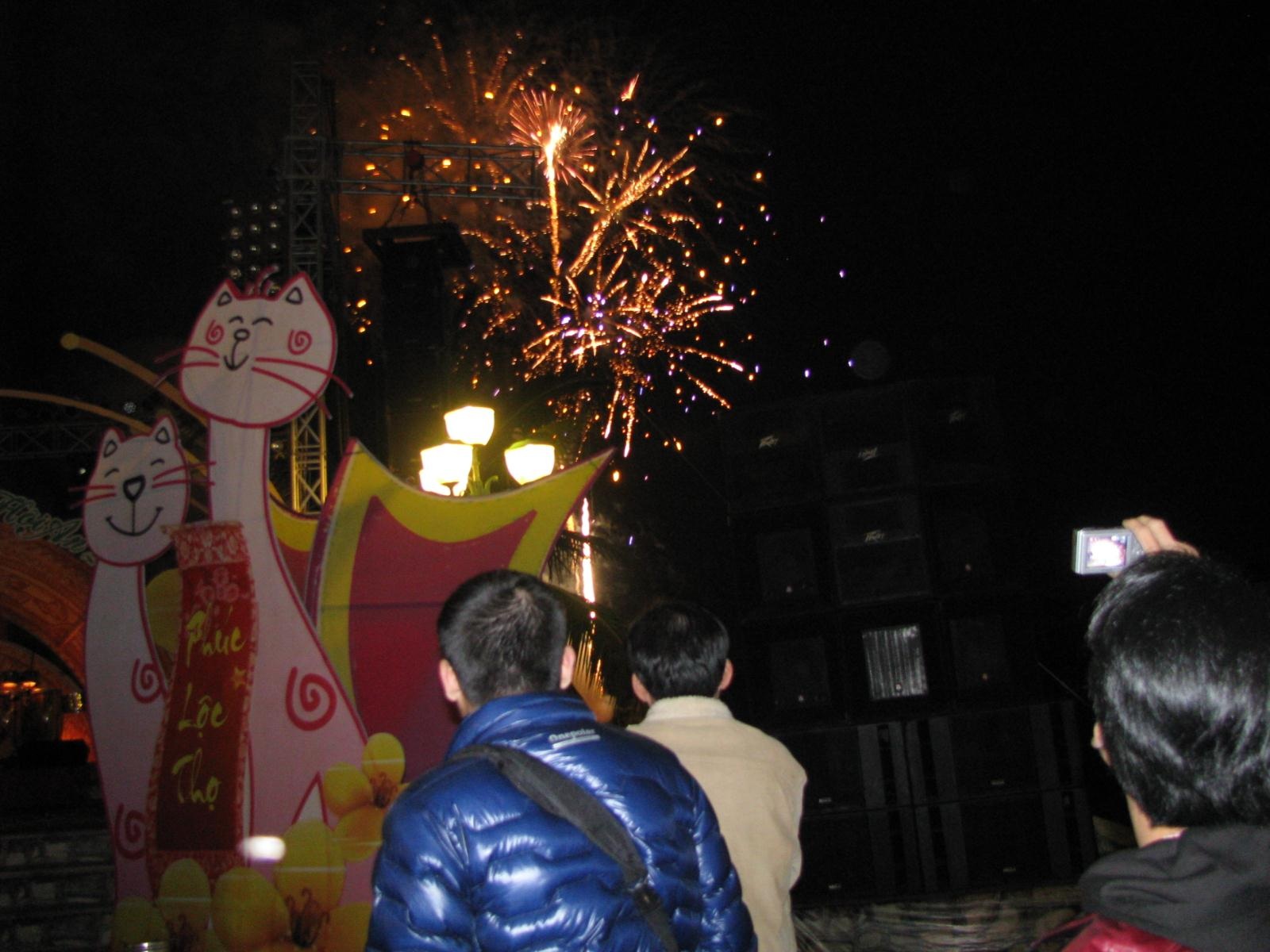 Mãn nhãn với pháo hoa đêm giao thừa - 22
