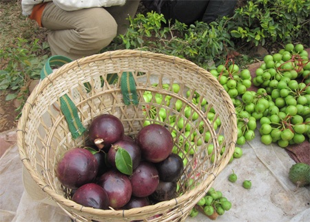 Những gùi hàng “bình ổn” giá cho ngày Tết - 2 Những gùi hàng “bình ổn” giá cho ngày Tết - 2