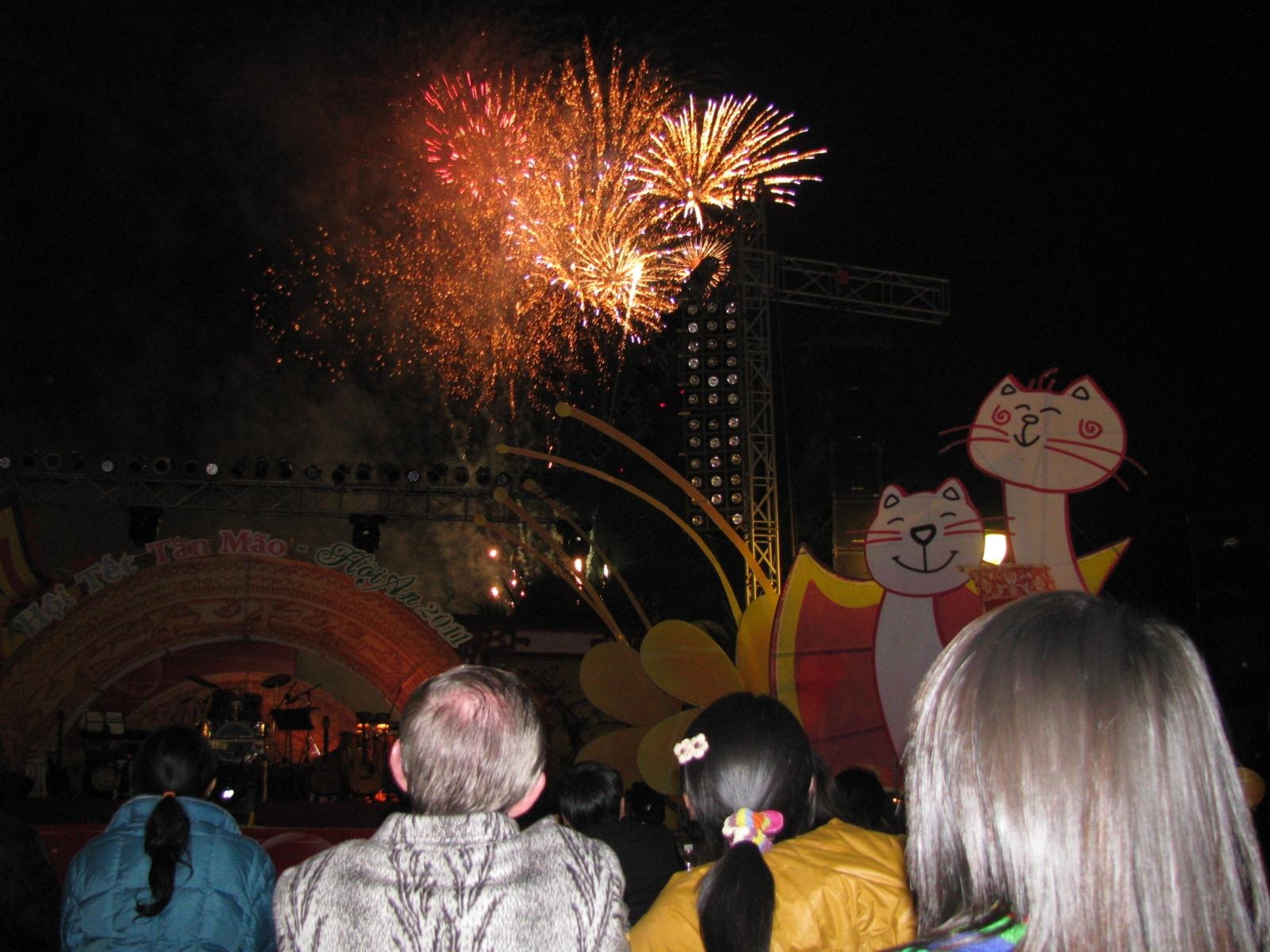 Mãn nhãn với pháo hoa đêm giao thừa - 20