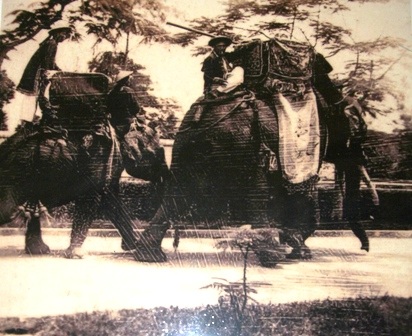 Xem lễ hội cung đình Huế xưa qua bộ ảnh quý đen trắng - 5