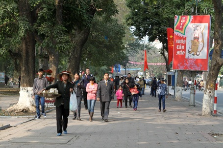 Chùm ảnh: "Gặp" cụ rùa Hồ Gươm ngày đầu xuân - 1