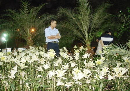 "Điểm đẹp" đầu xuân nơi bạn trẻ Sài thành - 4