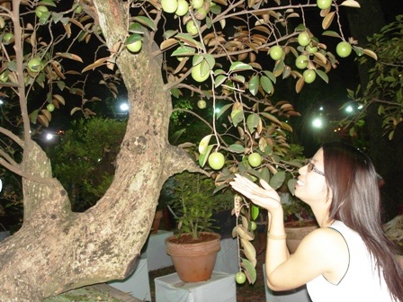 "Điểm đẹp" đầu xuân nơi bạn trẻ Sài thành - 3