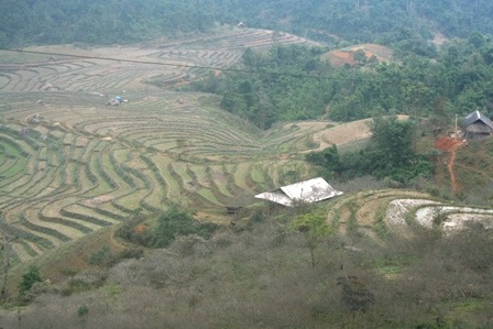 Mùa xuân đã về nơi miền sơn cước - 9