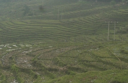 Mùa xuân đã về nơi miền sơn cước - 7