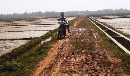 Ra đồng cày cấy ngày xuân - 1 Ra đồng cày cấy ngày xuân - 1