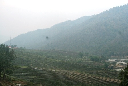 Mùa xuân đã về nơi miền sơn cước - 12