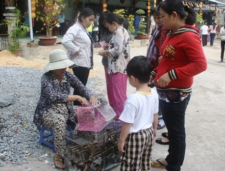 Ngao ngán giá dịch vụ đầu xuân - 3 Ngao ngán giá dịch vụ đầu xuân - 3