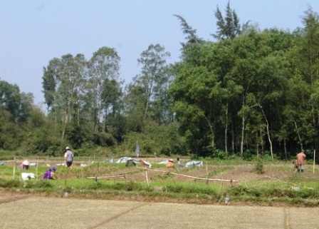 Ra đồng cày cấy ngày xuân    - 7