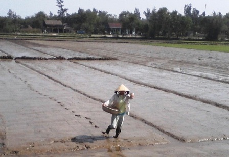 Ra đồng cày cấy ngày xuân - 8 Ra đồng cày cấy ngày xuân - 8