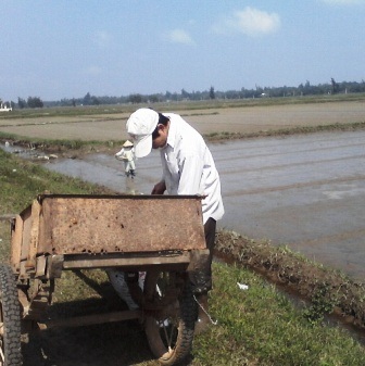 Ra đồng cày cấy ngày xuân - 4 Ra đồng cày cấy ngày xuân - 4