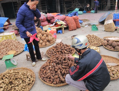 Khai xuân chợ rau đầu năm nơi thành Vinh - 4 Khai xuân chợ rau đầu năm nơi thành Vinh - 4