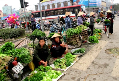 Khai xuân chợ rau đầu năm nơi thành Vinh - 11 Khai xuân chợ rau đầu năm nơi thành Vinh - 11