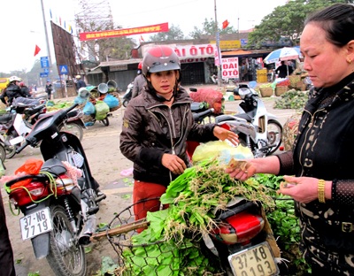 Khai xuân chợ rau đầu năm nơi thành Vinh - 10 Khai xuân chợ rau đầu năm nơi thành Vinh - 10
