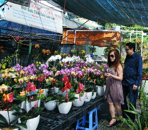 Vợ chồng người đẹp chuyển giới rộn ràng đón xuân - 2 Vợ chồng người đẹp chuyển giới rộn ràng đón xuân - 2