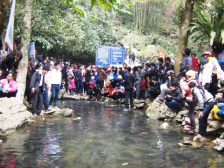 Đầu xuân đi thăm "suối cá thần" - 11