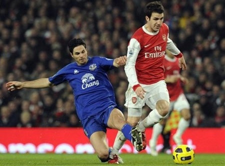 Fabregas rút lui khỏi ĐT Tây Ban Nha - 1 Fabregas rút lui khỏi ĐT Tây Ban Nha - 1