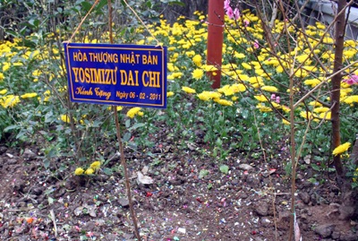 5 vạn người chen chân đến chùa Hương ngày khai hội - 8