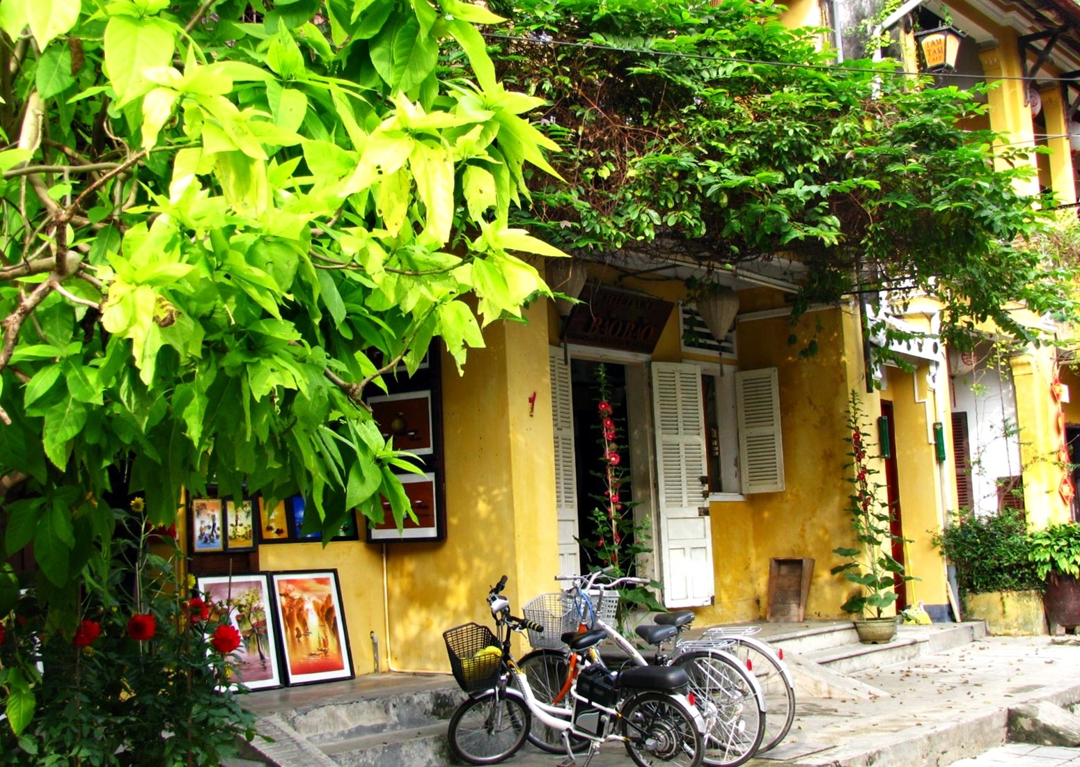 Chùm ảnh Hội An: Mùa xanh trên những mái nhà - 13