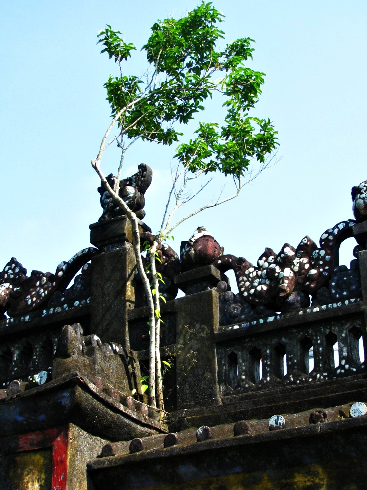 Chùm ảnh Hội An: Mùa xanh trên những mái nhà - 2