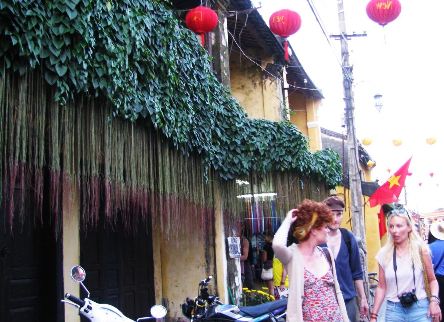 Chùm ảnh Hội An: Mùa xanh trên những mái nhà - 7