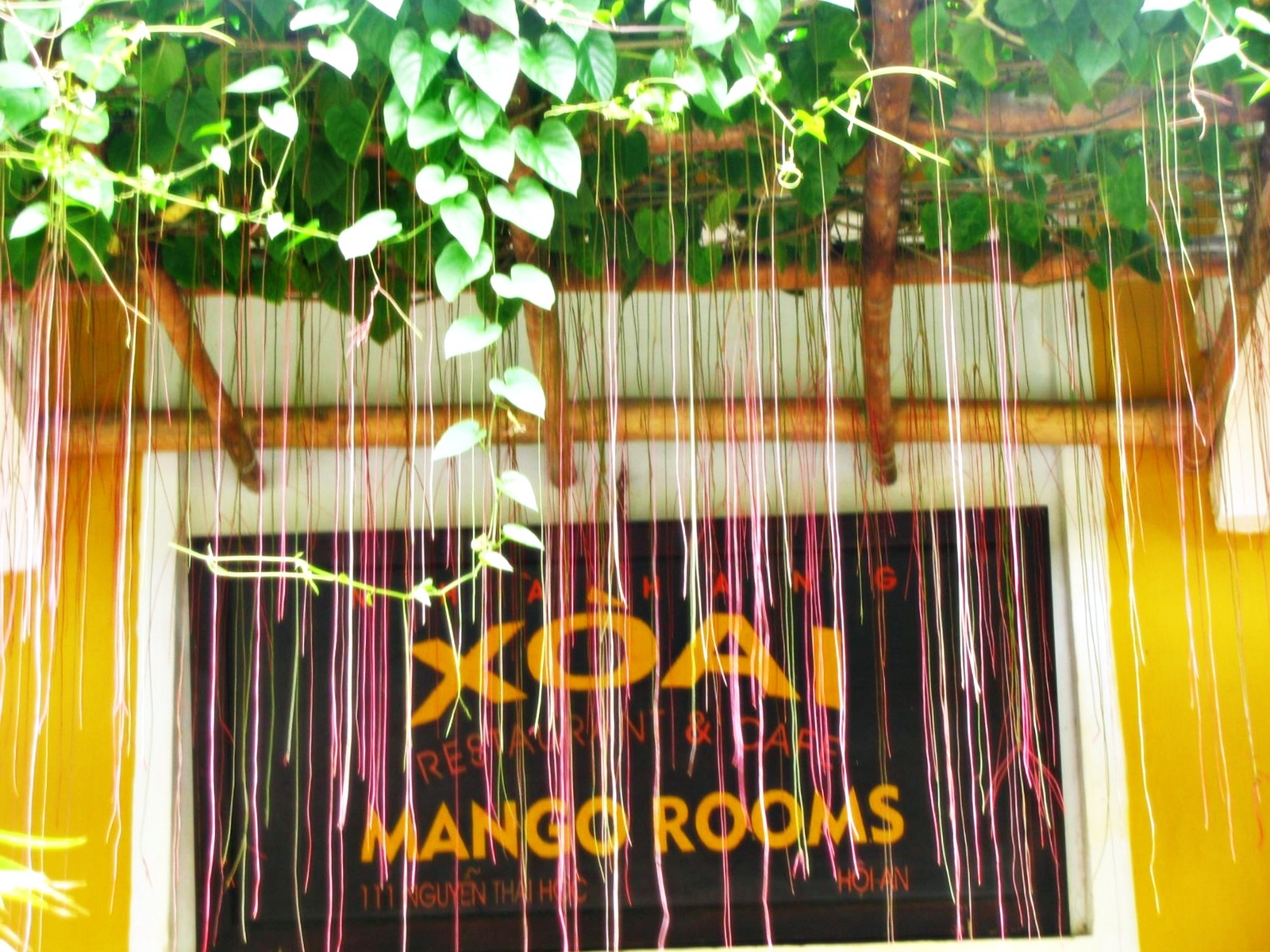 Chùm ảnh Hội An: Mùa xanh trên những mái nhà - 9