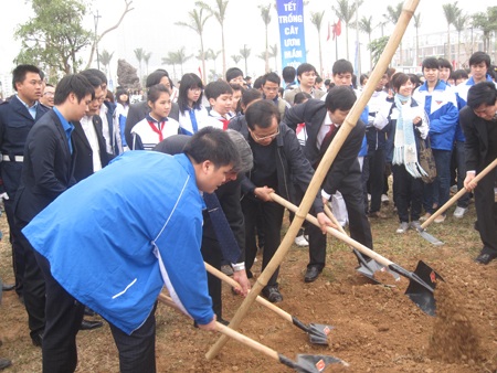 Mục tiêu 50.000 cây xanh của Thanh niên Hà Nội - 1