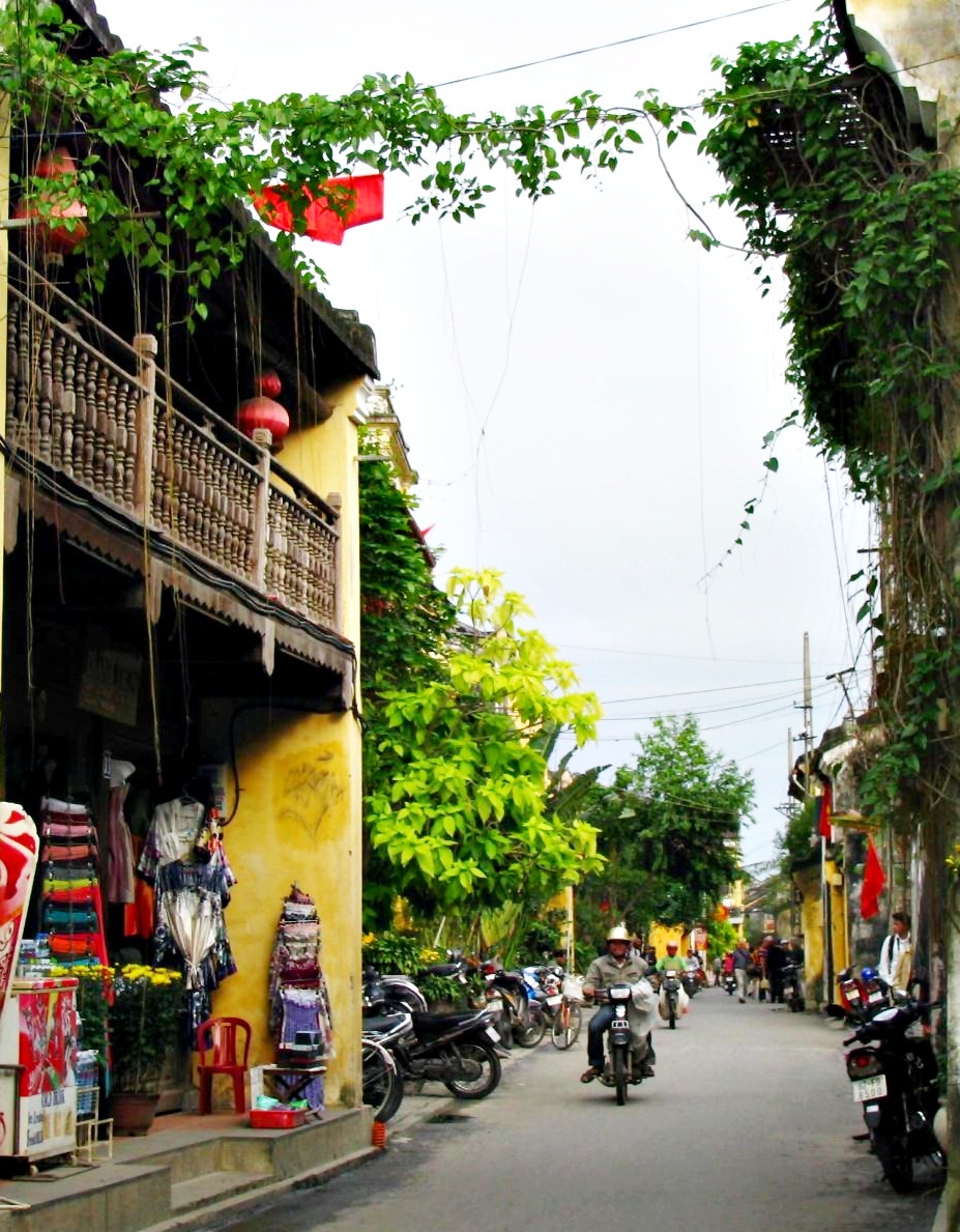 Chùm ảnh Hội An: Mùa xanh trên những mái nhà - 8