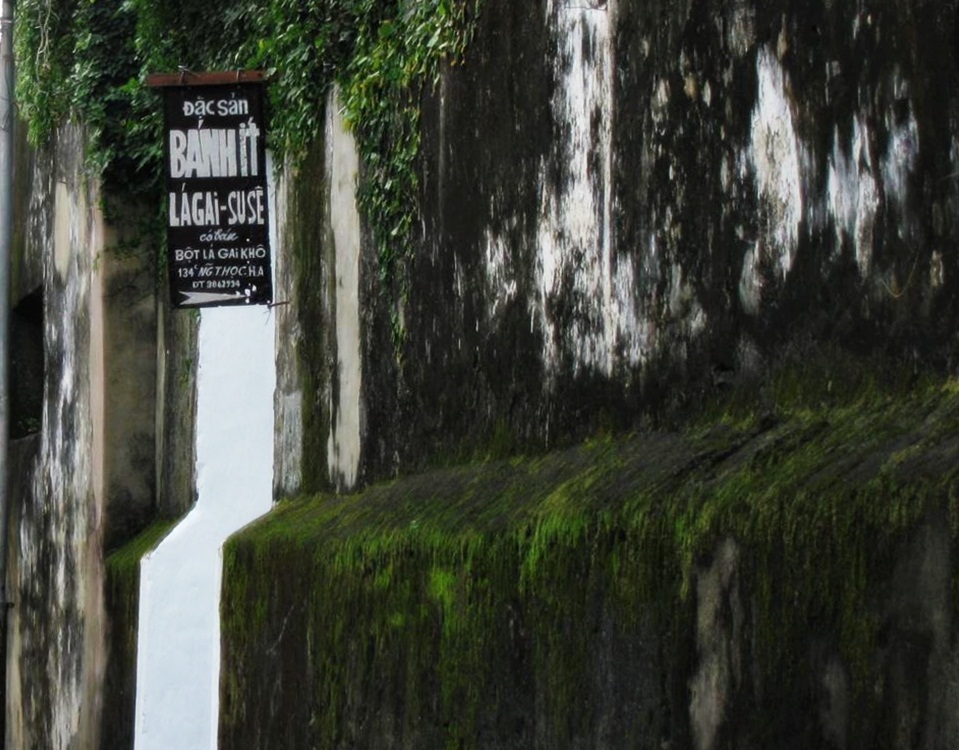 Chùm ảnh Hội An: Mùa xanh trên những mái nhà - 4