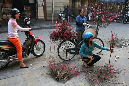Đào muộn! - 1 Đào muộn! - 1