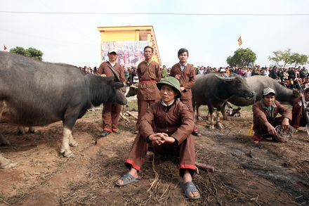 Đầu năm theo vua đi cày - 4