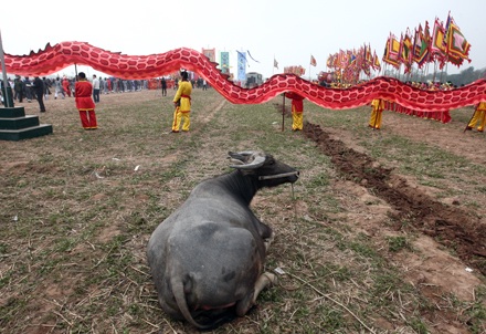 Đầu năm theo vua đi cày - 6