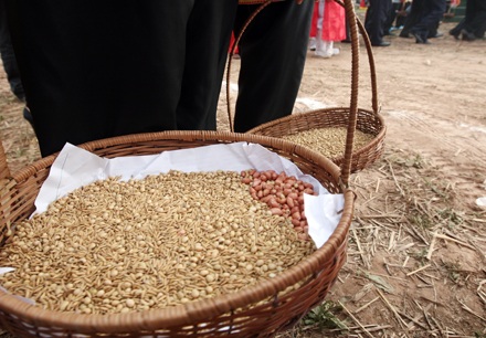 Đầu năm theo vua đi cày - 8