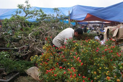 Khai hội chợ Viềng Nam Định - 2