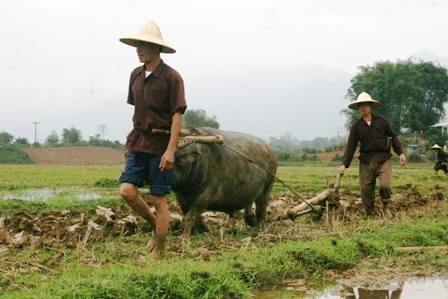 Tưng bừng Khai hạ Mường Bi - 16