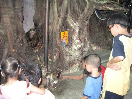 Mùng 8 cúng sao cầu năm mới an lành - 4