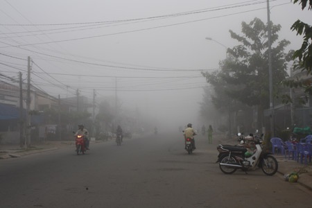 Cần Thơ: Sương mù dày đặc máy bay không thể hạ cánh - 1