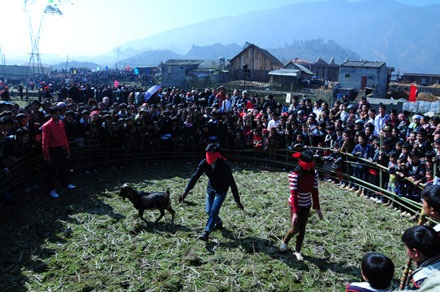 Về Tả Phìn hát giao duyên, leo cột gỗ... - 8