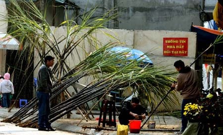 Sinh viên bật mí số tiền “khủng” làm thêm dịp Tết - 3 Sinh viên bật mí số tiền “khủng” làm thêm dịp Tết - 3