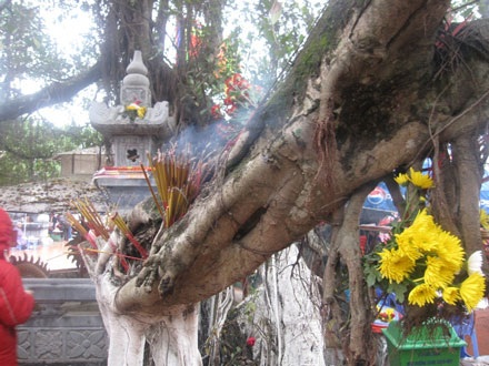 “Suối rác” chảy từ lễ hội chùa Hương - 6