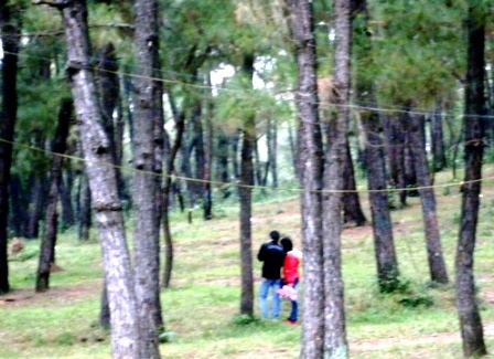Valentine rủ nhau lên đồi “sung sướng” - 1 Valentine rủ nhau lên đồi “sung sướng” - 1
