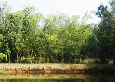 Thu hồi Dự án Khu du lịch sinh thái Quảng Cư - 1