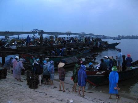 Ngư dân trúng lớn, bến cá nhộn nhịp - 2